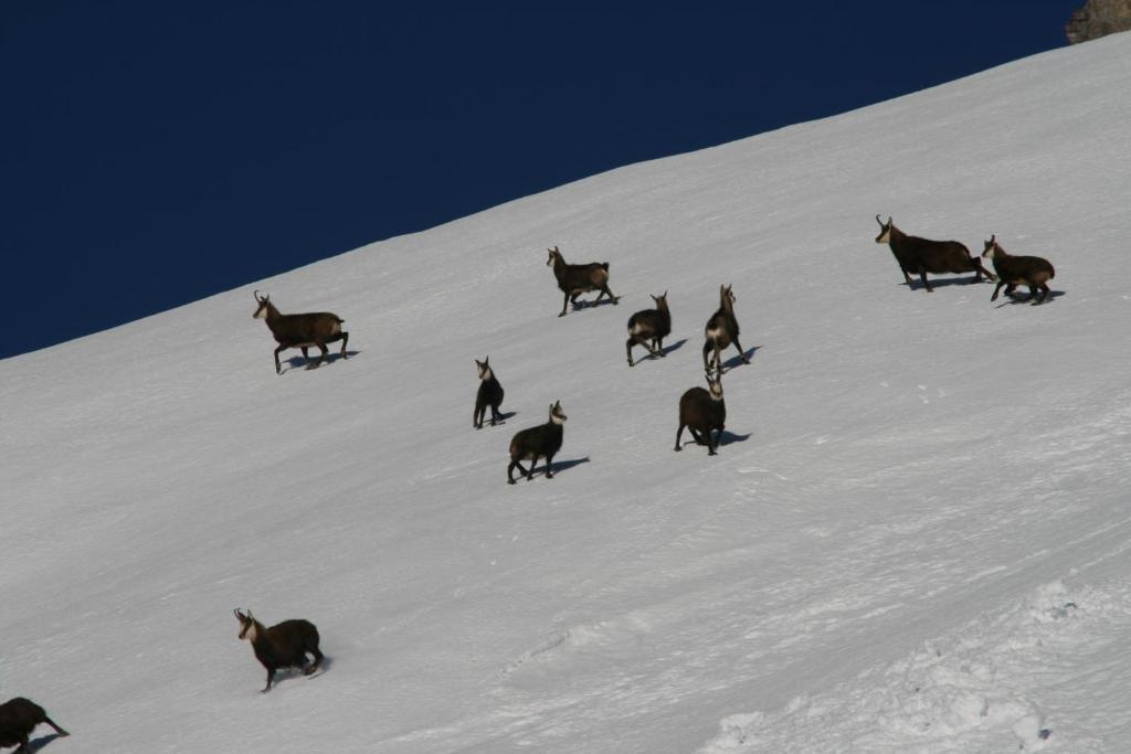 Landhaus Flunger St. Anton am Arlberg Zewnętrze zdjęcie